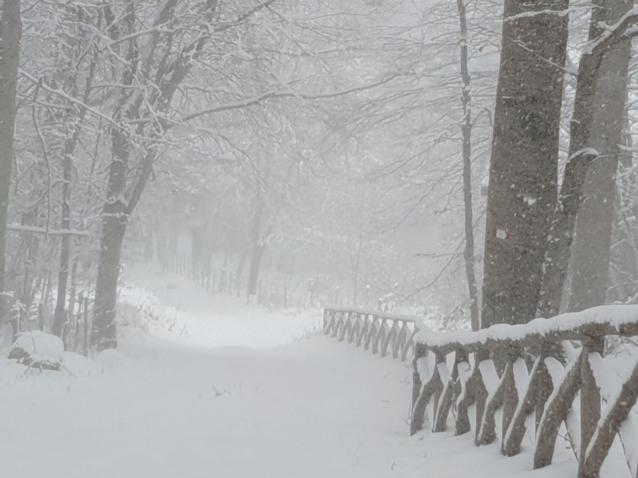 Allerta-Meteo-RivistaDonna.com